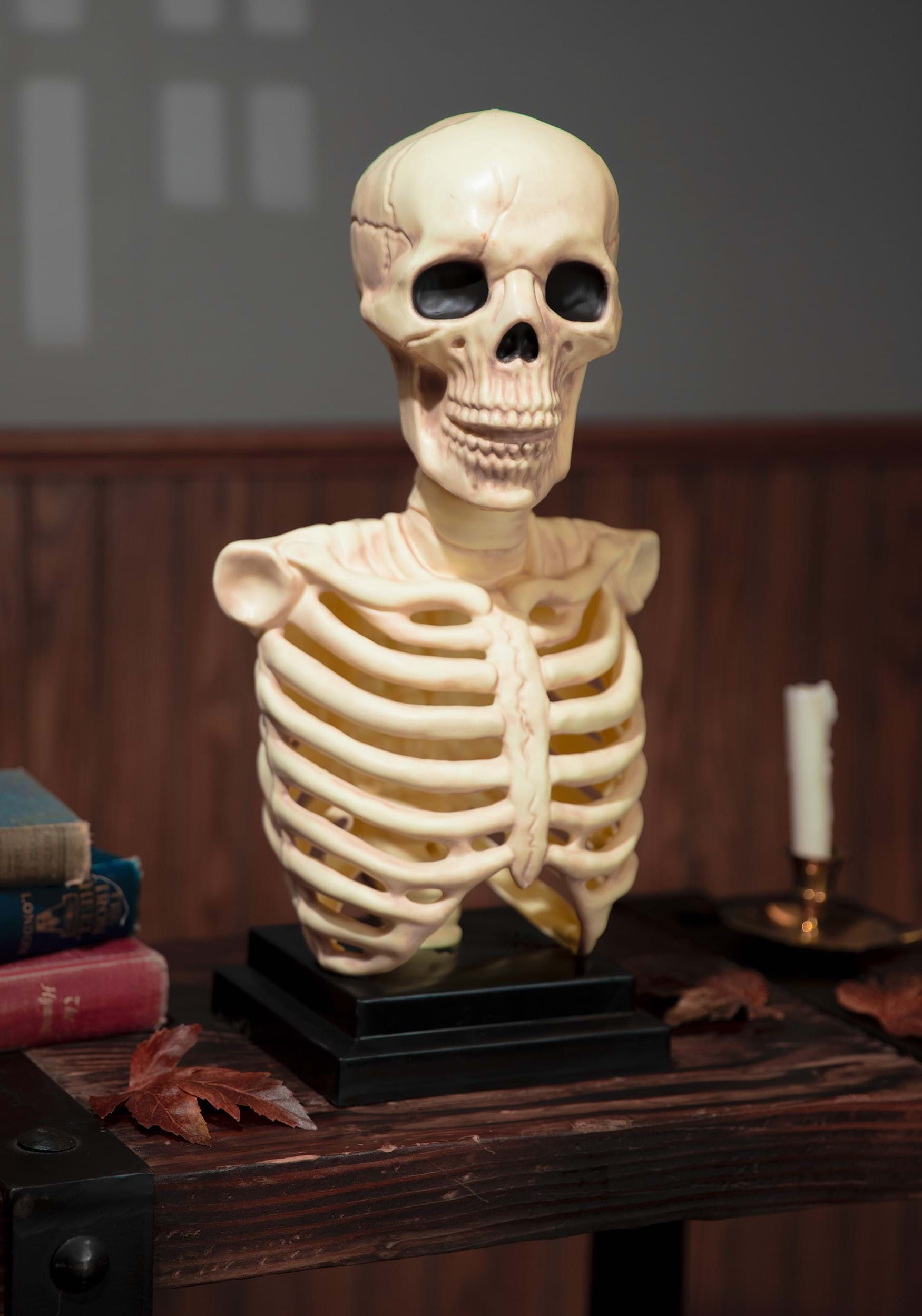 High quality Bored Skeleton Bust