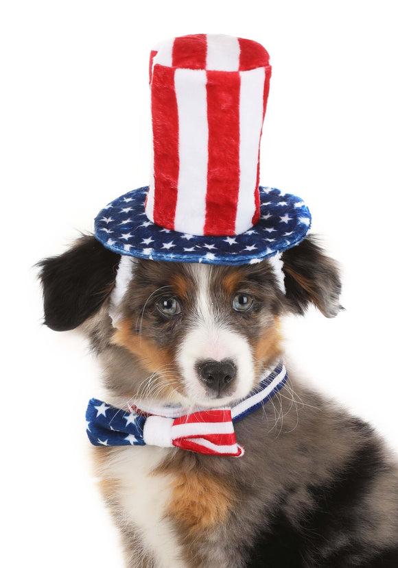 4th of July Costume Kit for Pets | 4th of July Costumes