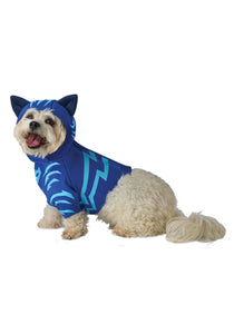 PJ Masks Catboy Dog Costume | Costumes for Dogs