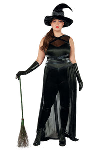 Plus Size Women's Sexy Raven Witch Costume | Sexy Witch Costumes