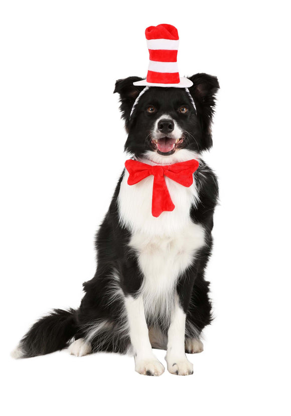 The Cat in The Hat Costume for Pets | Storybook Pet Costumes