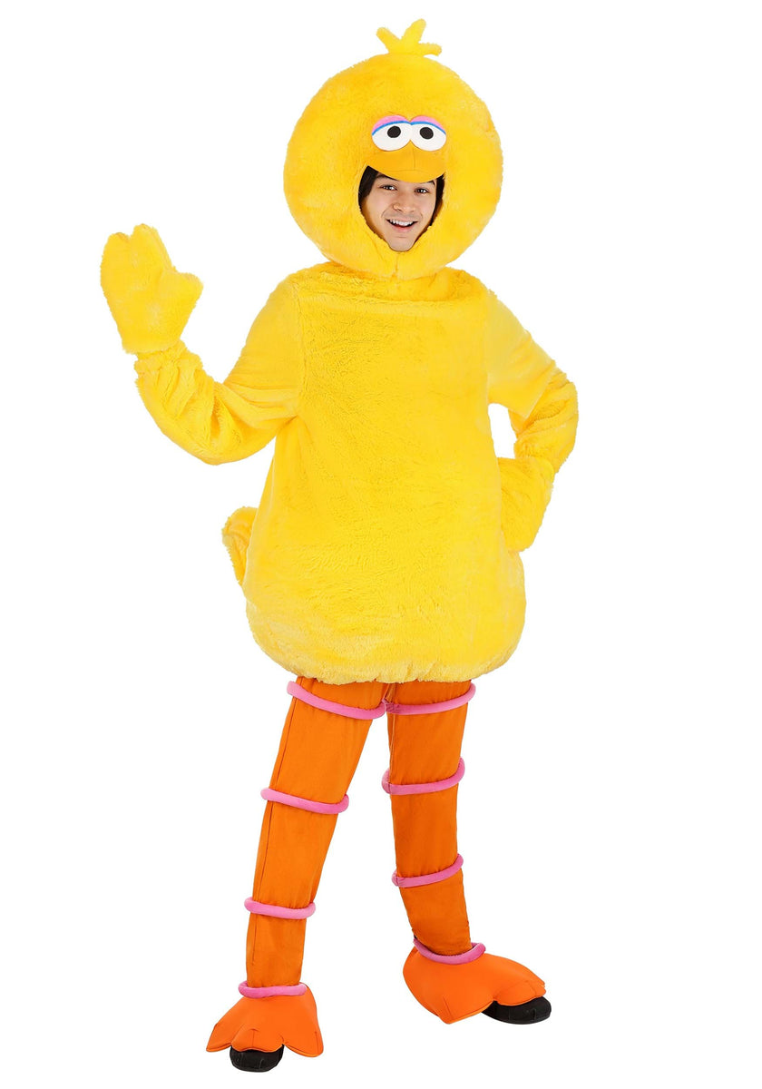 Sesame Street Adult Big Bird Costume – Kids Halloween Costumes