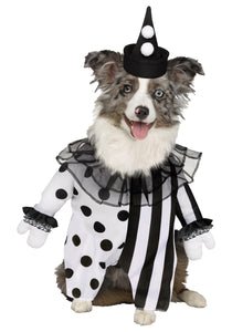 Pet Killer Clown Costume